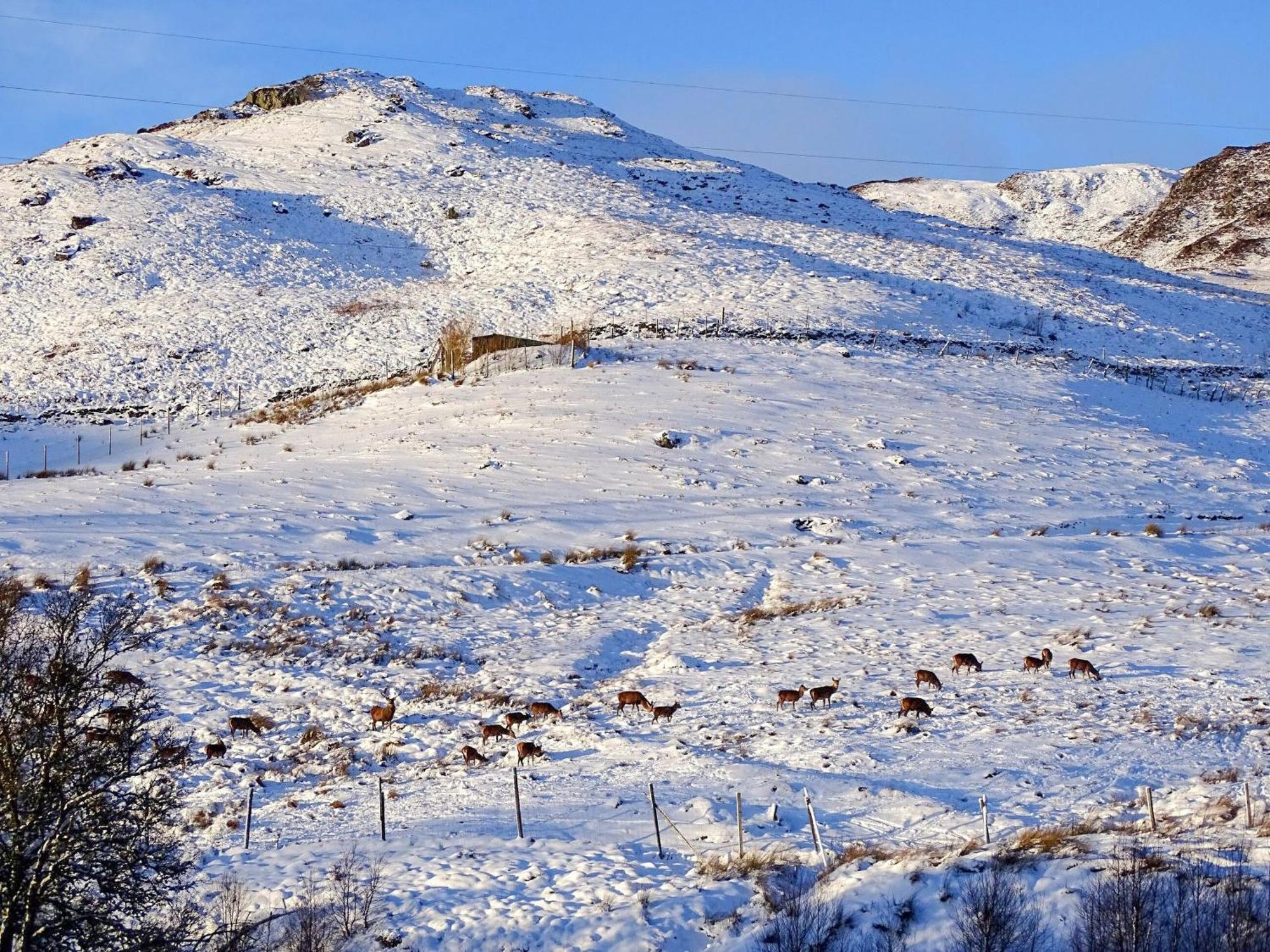 Glengoulandie Lodge Екстериор снимка